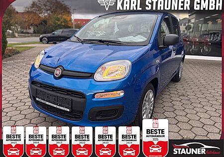 Fiat Panda 1.0 Hybrid PDC KLIMA SPURHALTEASS.