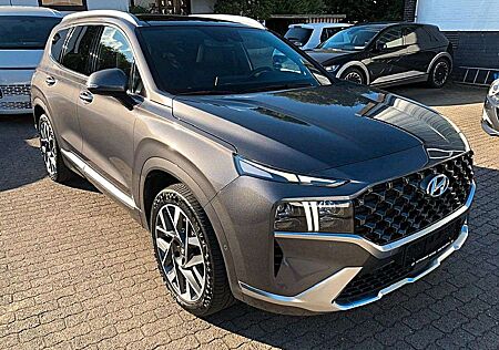 Hyundai Santa Fe 2.2 CRDI 4WD Signature 360°/Pano-Dach