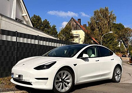 Tesla Model 3 gebraucht kaufen Tesla Model 3 Langstreckenbatt. Allradantrieb Dual Motor