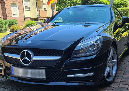 Mercedes-Benz SLK 250 CDI 7G-TRONIC AMG Sportpaket 8fach