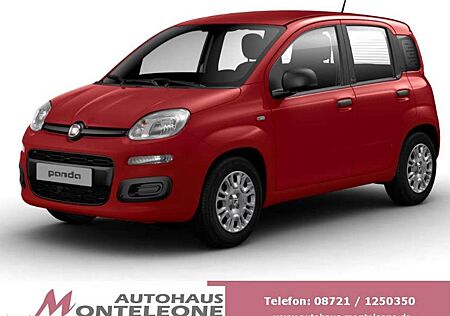 Fiat Panda MY25 Pandina ICON Hybrid | PDC | 5 Sitze