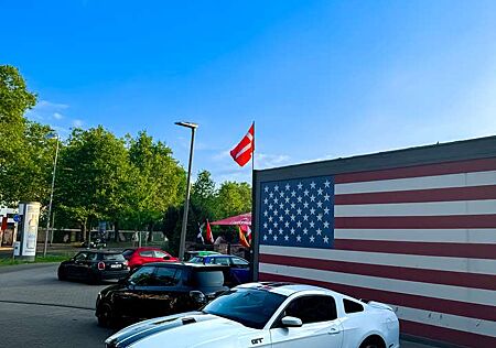 Ford Mustang 2014 Top Zustand
