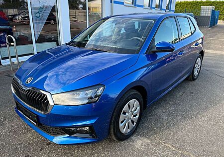 Skoda Fabia 1,0 TSI*Selection*5-Jahre Garantie/Klima