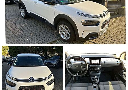 Citroën C4 Citroen Cactus Shine 130 Navi Sitzheiz Sehr gepflegt