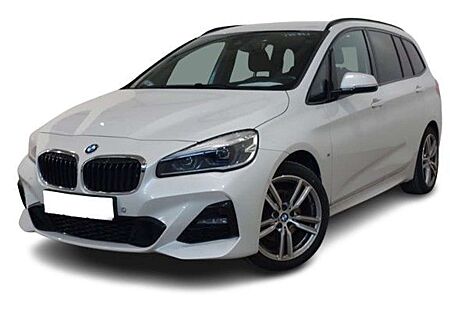 BMW 218 M Sport 7-Sitzer HiFi AHK 18"