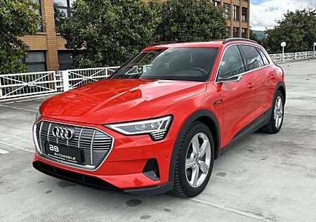 Audi e-tron 55 quattro NP: 108T¤