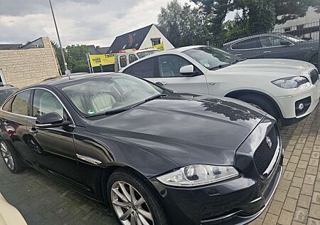 Jaguar XJ 3.0 V6 Kompressor AWD Portfolio Kundenauftrag