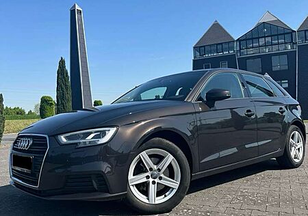 Audi A3 2.0 TDI Sportback quattro Tüv neu Voll LED