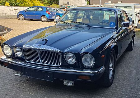 Jaguar XJ V12 Automatik, H- Kennzeichen