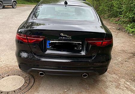 Jaguar XE P250 S