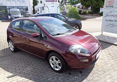 Fiat Punto More