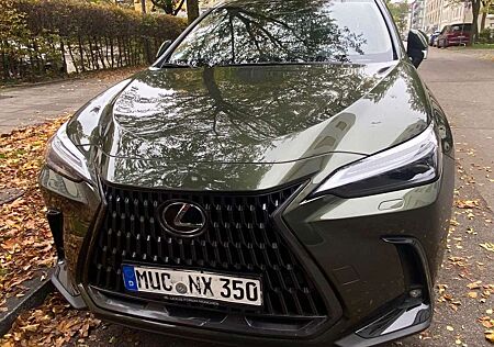 Lexus NX 350h Luxury Line (E-Four) Leder Navi LED