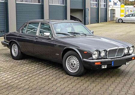 Jaguar XJ12