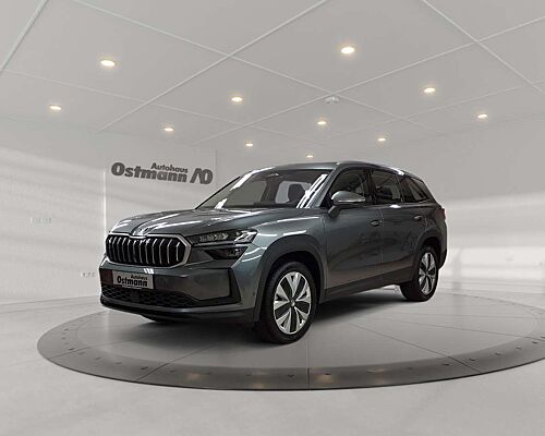 Skoda Kodiaq 2.0 TDI DSG 4x4 193 PS AHK PANO LED NAVI