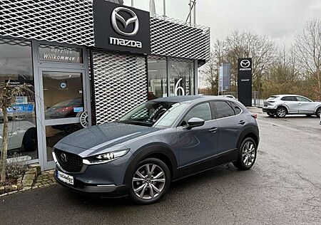 Mazda CX-30 Selection inkl. WR, BOSE + Designpaket