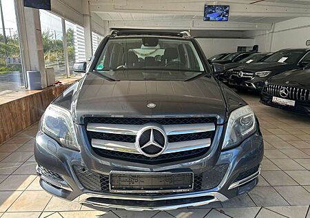 Mercedes-Benz GLK 220 CDI BlueEfficiency 4Matic Panoramada AHK