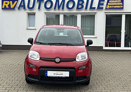 Fiat Panda Base**5.000KM**