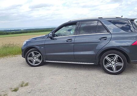 Mercedes-Benz ML 350 BlueTEC 4MATIC 7G-TRONIC Edition 1