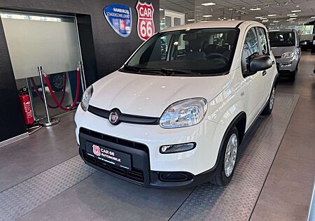 Fiat Panda Base