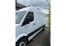 Mercedes-Benz Sprinter 313 CDI (BlueTec) 906.731 CREW