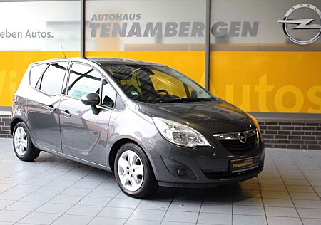 Opel Meriva B Design Edition Allwetter AHK PDC