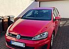 VW Golf GTI Volkswagen Golf GTD Variant BlueMotion Technology DSG