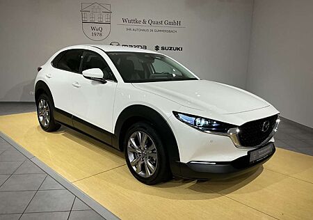Mazda CX-30 Exclusive *Matrix*360°*ACC*Carplay*Bose*