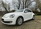 VW Beetle Volkswagen Design