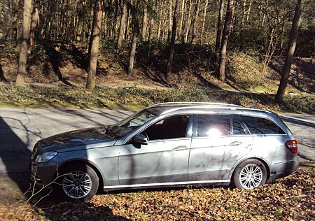 Mercedes-Benz E 350 T CDI DPF BlueEFFICIENCY 7G-TRONIC Elegance