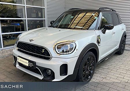 Mini Cooper S E ALL 4 Countryman Rüka LED Navi 18" DAB