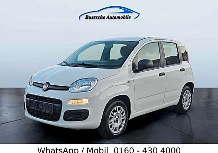 Fiat Panda gebraucht kaufen Fiat Panda Klima nur 64 Tkm
