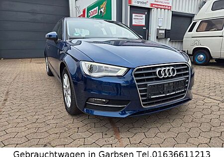 Audi A3 1.6 TDI Attraction Xenon AHK Klimatronic