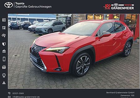 Lexus UX 250h (E-FOUR) Luxury Line