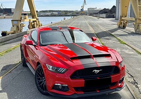 Ford Mustang 5.0 GT V8 / Shelby GT500 Fastback
