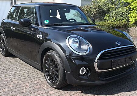 Mini ONE Blackyard