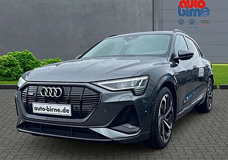 Audi e-tron 50 quattro S line Luftfederung AD Niveau AHK-abneh