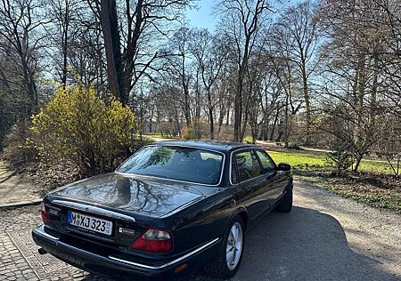 Jaguar XJ8