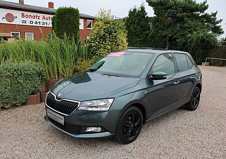 Skoda Fabia 1.0 TSI Drive 125 *Klimatr,Sitzhzg,APP,PDC,Alu*