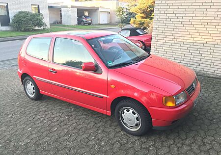 VW Polo Volkswagen Oldtimer in 3 Monaten (30 Jahre zugelassen)!