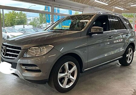 Mercedes-Benz ML 350 gebraucht kaufen Mercedes-Benz ML 350 BlueEfficiency V6 *Memory*Kamera*AHK*