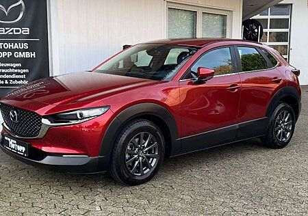 Mazda CX-30 Selection LED 360° SHZ CarPlay Navi