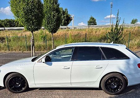 Audi A4 Avant Diesel Avant 2.0 TDI DPF clean diesel Amb
