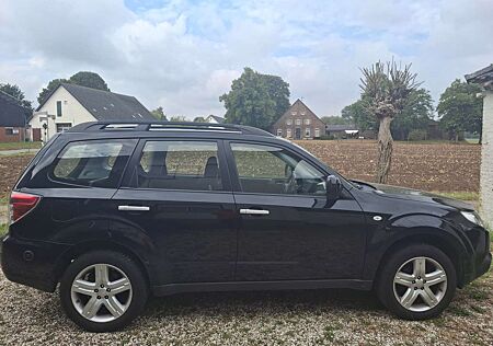 Subaru Forester gebraucht kaufen Subaru Forester 2.0XComfort