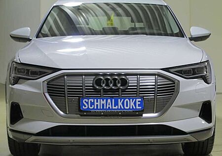 Audi e-tron Sportback 55 quattro advanced Navi DAB