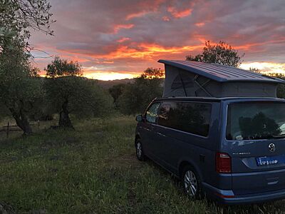 Volkswagen T6 California California Beach