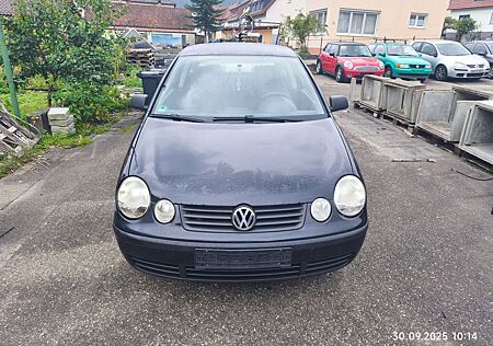 VW Polo gebraucht kaufen VW Polo Volkswagen CL