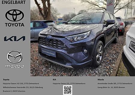 Toyota RAV 4 Hybrid 4x4 Team Deutschland 2.5 VVT-i Navi Heckkla