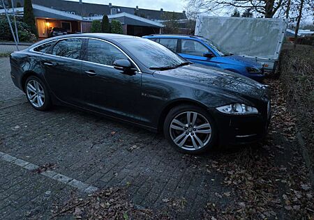 Jaguar XJ 3.0 V6 Diesel S Luxury