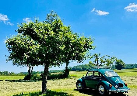 VW Käfer Volkswagen 1300