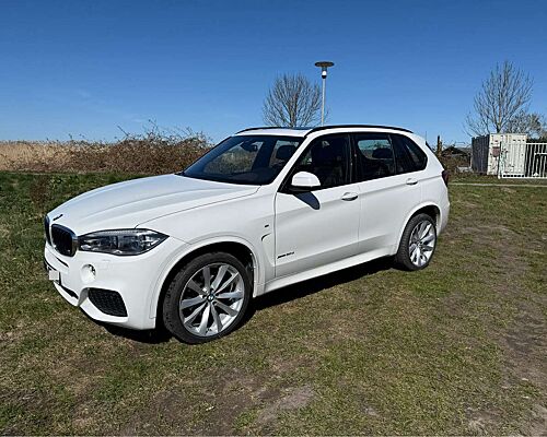 BMW X5 X5 Diesel xDrive30d